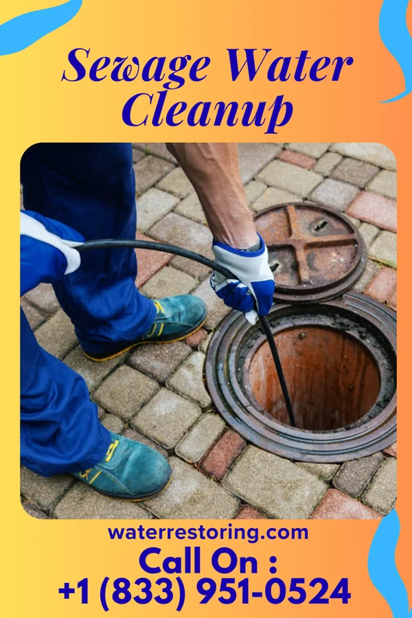 Sewage Water Cleanup in Kohls Ranch, AZ